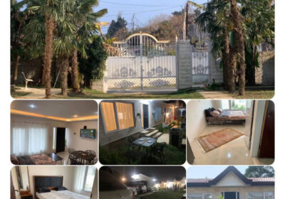 CE95D076-FF26-42B2-BB6A-653C2F5D9542