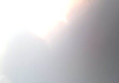 a92bd91b-ba25-44c4-a337-46a5ccb06ace-1_all_1351