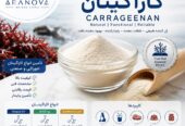 فروش کاراگینان و تأمین انواع کاراگینان خوراکی | بازرگانی آرانوا وارد کننده کاراگینان