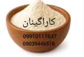 فروش کاراگینان و تأمین انواع کاراگینان خوراکی | بازرگانی آرانوا وارد کننده کاراگینان